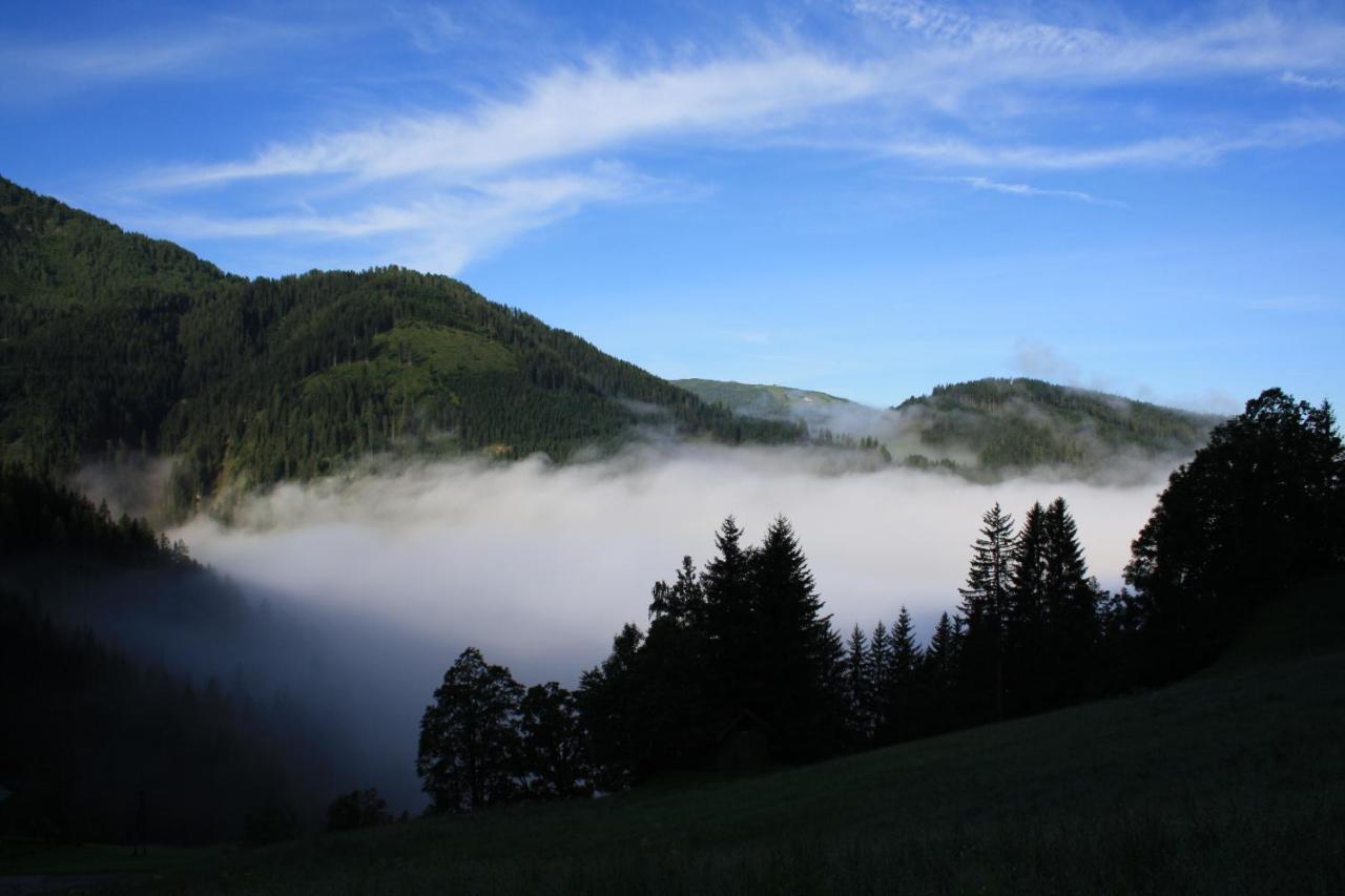 Grassbichlhof Villa Altenmarkt im Pongau Kültér fotó